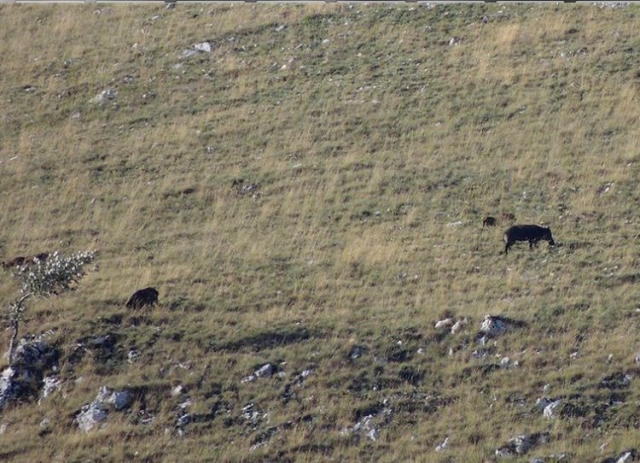  Una de las vistas del Parque Natural 